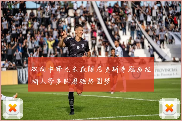双向中锋杰米森随尼克斯夺冠历经湖人等多队磨砺终圆梦